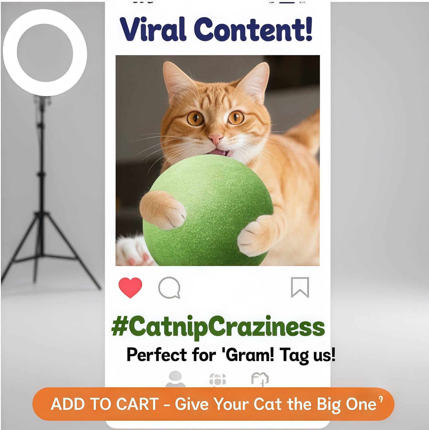 🐱The "Unstoppable" Giant Catnip Ball (3.94inch)