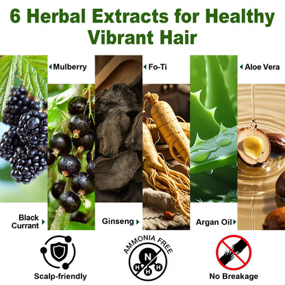 🎨 Transform Your Look Instantly! Limer 6-in-1 Multicolor Hair Dye Shampoo