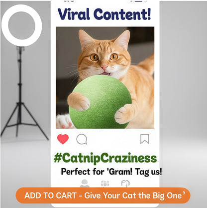 🐱The "Unstoppable" Giant Catnip Ball (3.94inch)