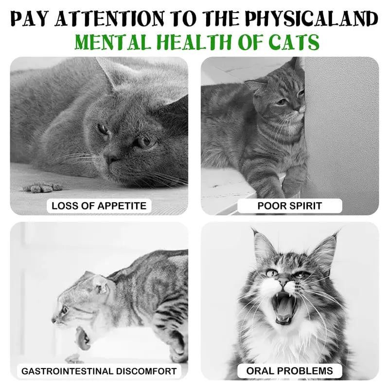 🐱The "Unstoppable" Giant Catnip Ball (3.94inch)