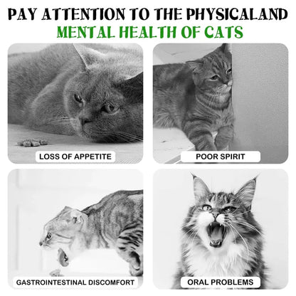 🐱The "Unstoppable" Giant Catnip Ball (3.94inch)