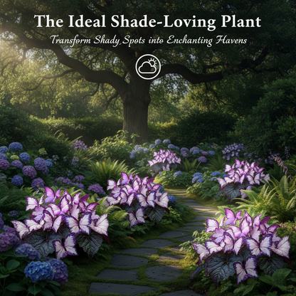 🦋 Butterfly Leaf Hosta Seeds: Add a Touch of Whimsy to Your Garden!