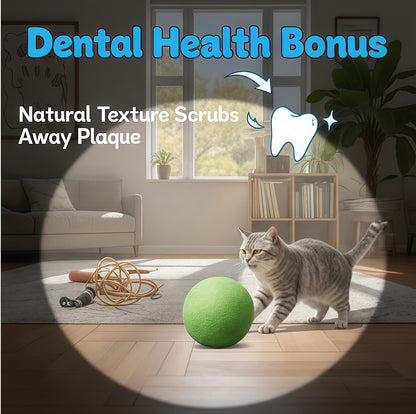 🐱The "Unstoppable" Giant Catnip Ball (3.94inch)