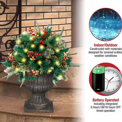 🎄Christmas flower bed with lights, golden and red berries🔥