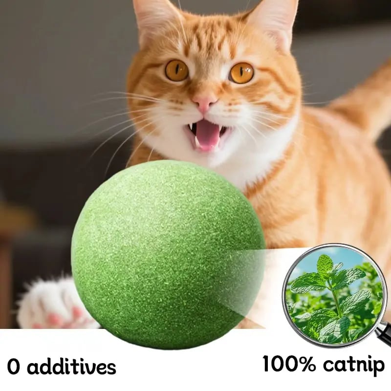 🐱The "Unstoppable" Giant Catnip Ball (3.94inch)
