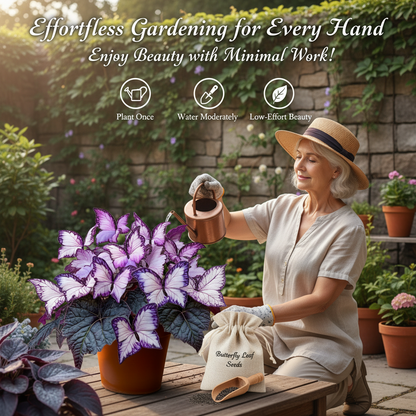 🦋 Butterfly Leaf Hosta Seeds: Add a Touch of Whimsy to Your Garden!