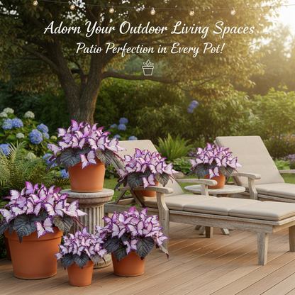 🦋 Butterfly Leaf Hosta Seeds: Add a Touch of Whimsy to Your Garden!